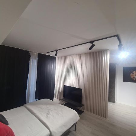 Studio 1 Camera Букурещ Екстериор снимка